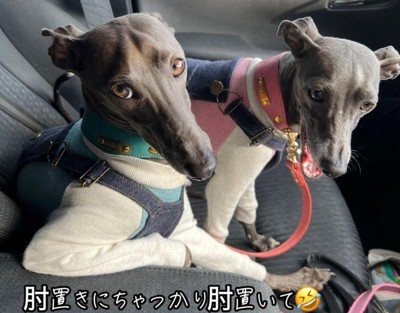 「なにか？」