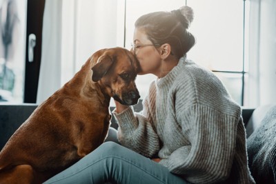 女性と茶色い大型犬