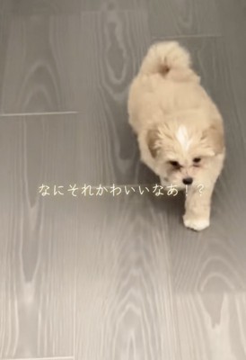 「ママァ」