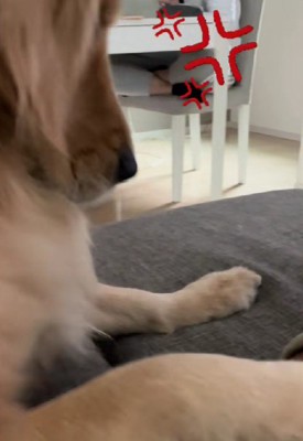 クサさに負けちゃった！？