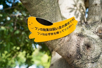 マナー