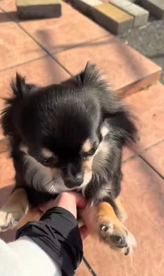 まる君とお姉ちゃんの再会⑩