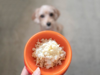 手作りごはんを用意する