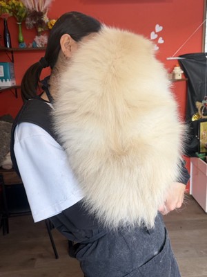 11kg