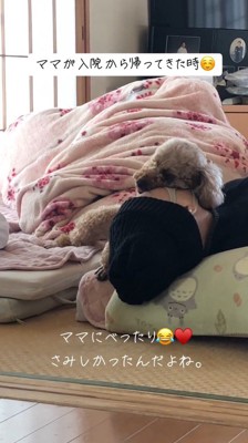 布団に横になっている女性に寄りかかってリラックスする茶色い犬