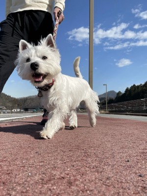 ニコニコ