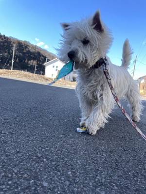 想定以上に