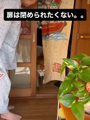 扉を閉めちゃった！！