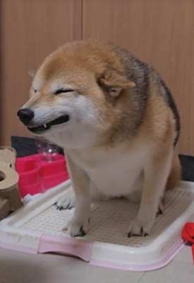 大好きな人がお家にきてニコ～ッ♡
