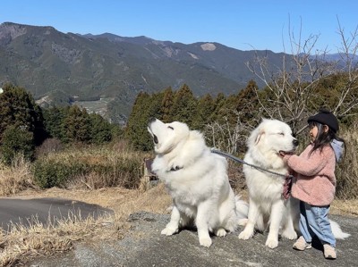 山奥