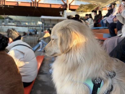 水族館