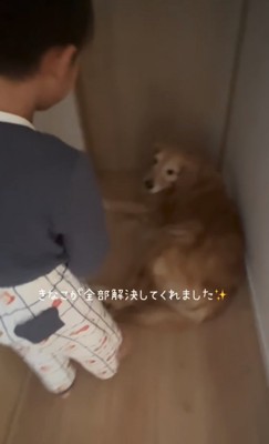 起き上がる男の子