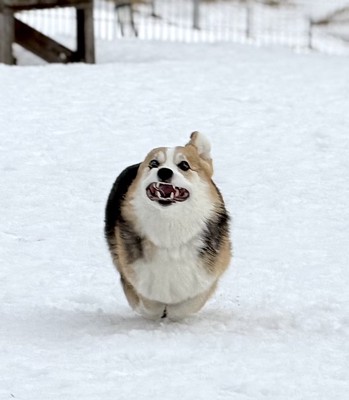 遊びに夢中