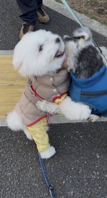 いつも