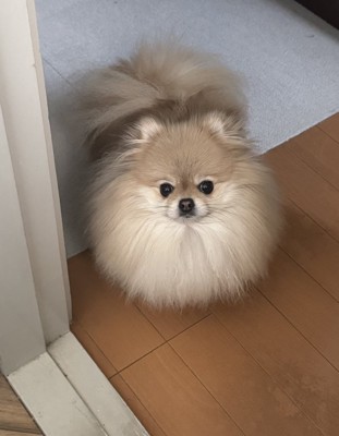 成長