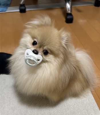 あざとい