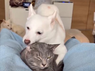 愛が強い