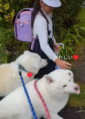 喜ぶ2匹
