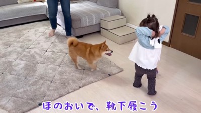 「それちょうだい!!」