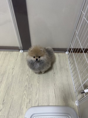 赤ちゃん