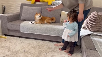 「うにはいい子だったよね?」
