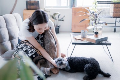 足元で犬を撫でる女性