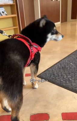 病院に到着