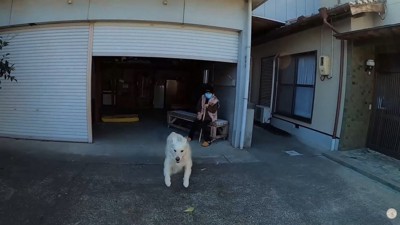 大はしゃぎ！