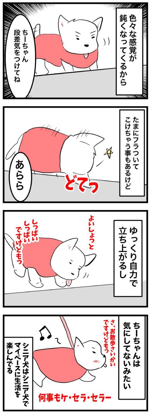 ちーちゃんですけどもっ【第352 話】　2