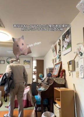 謎の箱を不審がるお父さん