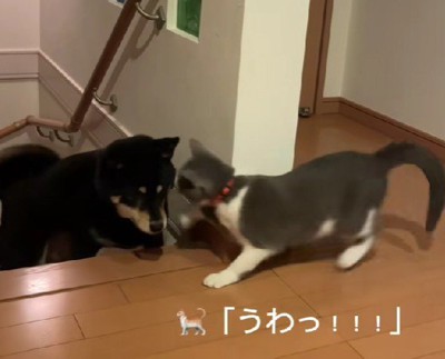 豪快なパンチ!!
