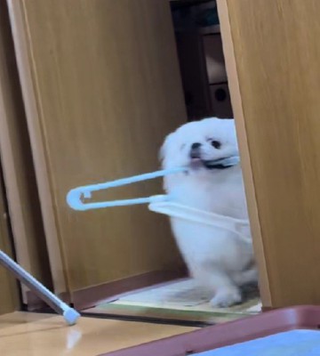 通れた～！！