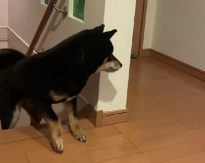 まさかの塩対応に爆笑!