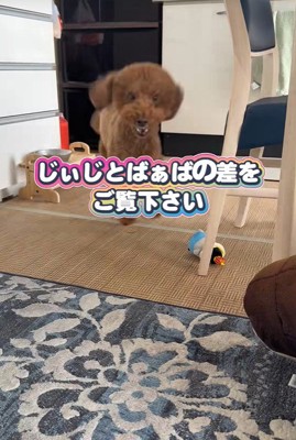 大喜び♪