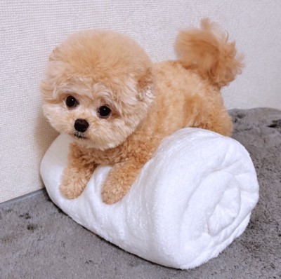 起きて