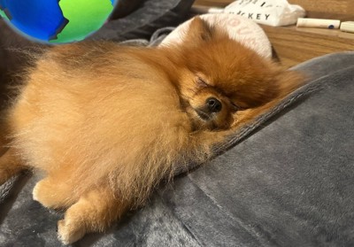 赤ちゃん