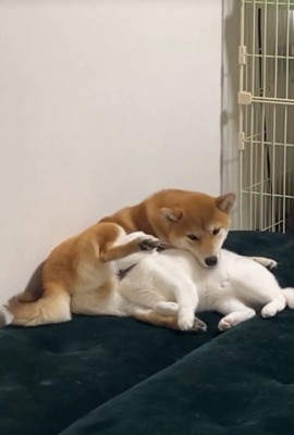 くっついてリラックス中♪