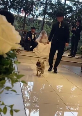 ダッシュで逆戻り！！