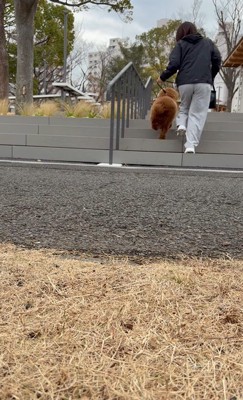 スタスタ登っています！