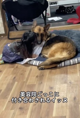 顔をピタッ