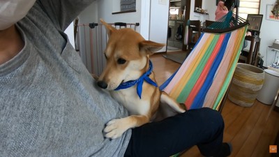 しがみついてきました！