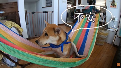 ひとりだと、やっぱり怖い…！
