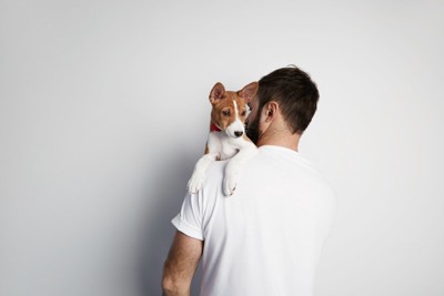 ハグされる犬