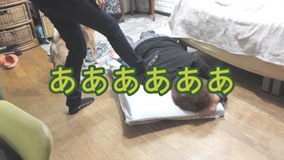 本気で悲鳴を上げたら…