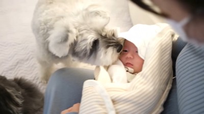「はじめまして」のご挨拶♪