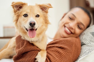 女性に甘える犬