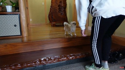 飼い主さんが帰宅！