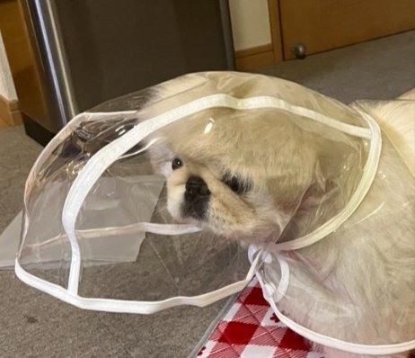 まさかの
