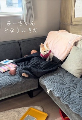 隣にお座り