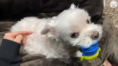 満足そうなお顔♪